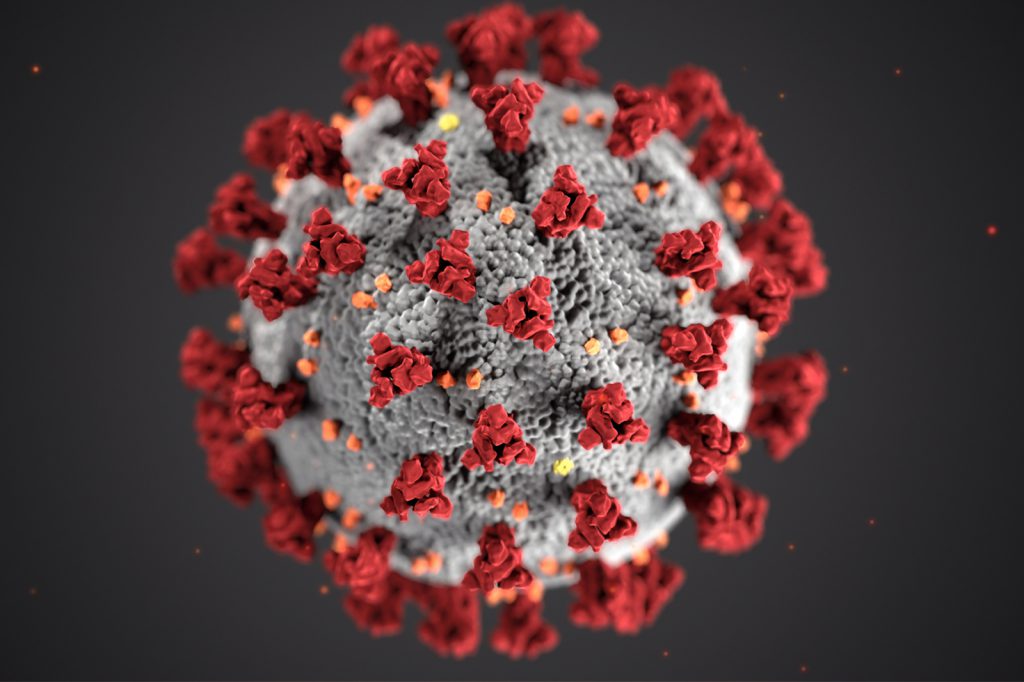 Virus